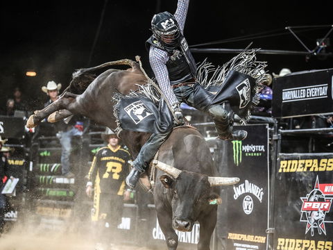 PBR Hawkesbury Stampede - Mackay Tourism 0