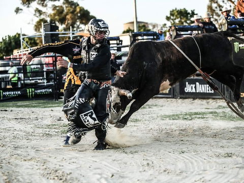 PBR Hawkesbury Stampede - Mackay Tourism 2