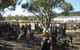 Quirindi Rural Heritage Village - Vintage Machinery And Miniature Railway Rally And Swap Meet - thumb 1