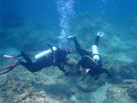 Recovery Of The Great Barrier Reef Expedition - Mackay Tourism 1