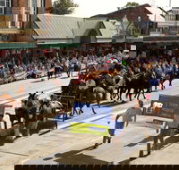 Scone Horse Festival - Mackay Tourism