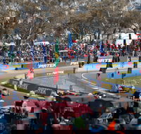 Supercars Supercheap Auto Bathurst 1000 - Mackay Tourism