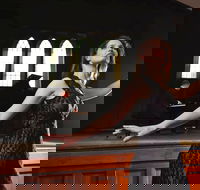 SwanSongs - Ghosts Fools and Seers - Mackay Tourism