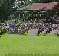 Tumut Derby Day - Mackay Tourism