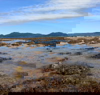 Walk to the Reef - Mackay Tourism