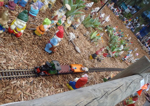 Australia Day With The Australian Gnome Convention Glenbrook - Mackay Tourism 2