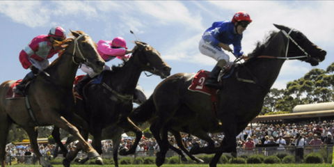 Batemans Bay Cup - Mackay Tourism 0