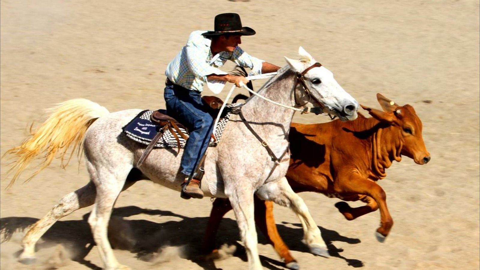 Toko QLD Mackay Tourism