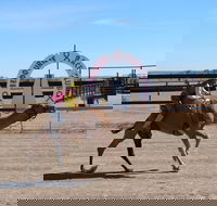 Bedourie Camel and Pig Races and Camp oven Cook-off - Mackay Tourism