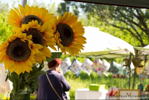 Blackville Arts And Market Day - Mackay Tourism 0