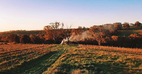 Cargo Road Wines Grande Fiamma - Mackay Tourism 0
