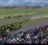 Cooma Sundowners Cup - Mackay Tourism