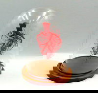 Corrosion Casting - Mackay Tourism