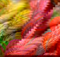 Creative Fibre - Mackay Tourism