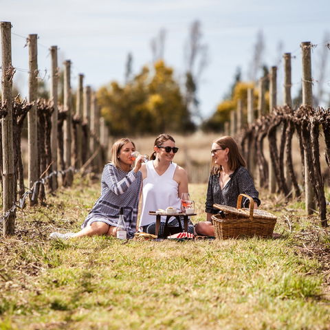 Family Picnic Weekend - Mackay Tourism 0