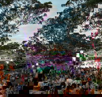 Field Good Festival - Mackay Tourism