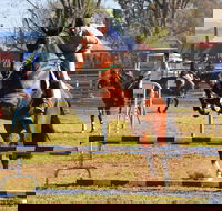 Glen Innes Pastoral and Agricultural Show - Mackay Tourism