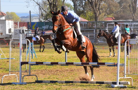 Glen Innes Pastoral And Agricultural Show - Mackay Tourism 0