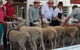 Glen Innes Pastoral And Agricultural Show - thumb 2