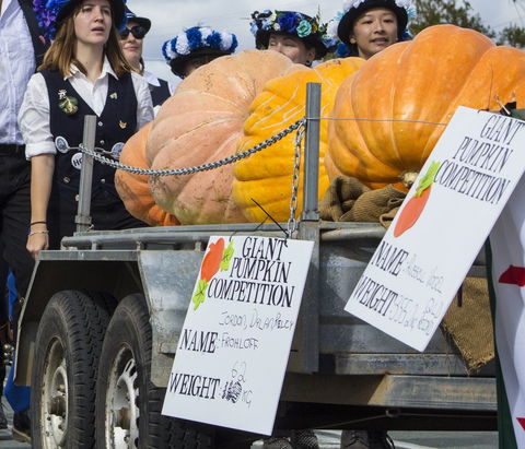 Goomeri Pumpkin Festival - Mackay Tourism 2
