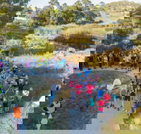 Goulburn Parkrun - Mackay Tourism