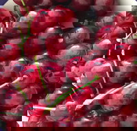 Griffith Rotary Market - Mackay Tourism