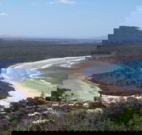Head to Head Walk Run - Mackay Tourism