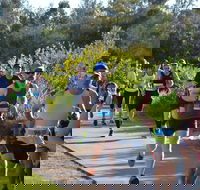 Husky Half Running Festival - Mackay Tourism