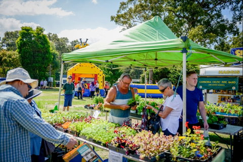 Huskisson Market - Mackay Tourism 0