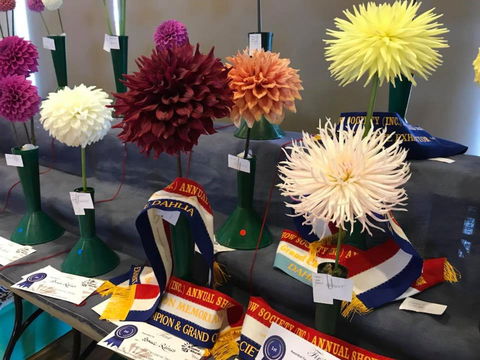 Kiama Show - Mackay Tourism 2