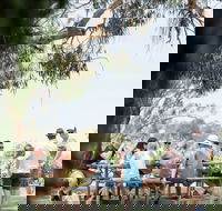 Music on the Murray - Mackay Tourism