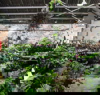 Newcastle - Huge Indoor Plant Warehouse Sale - Christmas Bonanza - Mackay Tourism