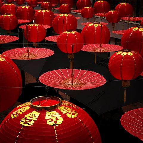 Online Live Streaming Class: Phone Photography Workshop - Mackay Tourism 0