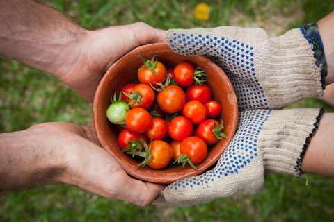 Riverina Producers Market - Mackay Tourism 0