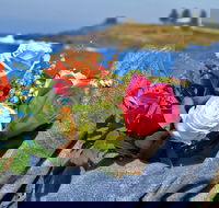 Roses by the Seaside National Rose Championships and Conference - Mackay Tourism