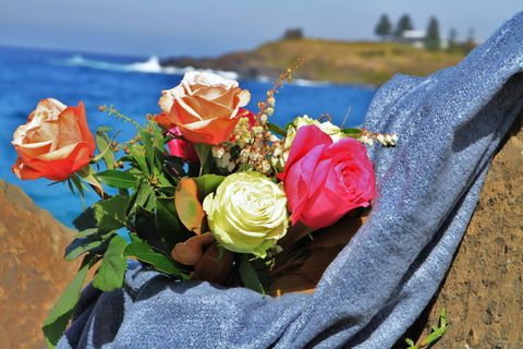Roses By The Seaside: National Rose Championships And Conference - Mackay Tourism 0