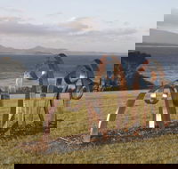 Sculpture Bermagui - Mackay Tourism