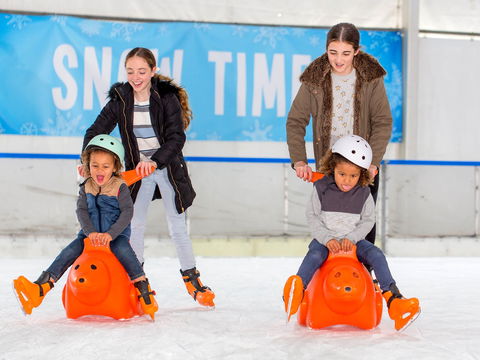 Snow Time In The Garden - Hunter Valley Gardens - Cancelled - Mackay Tourism 2