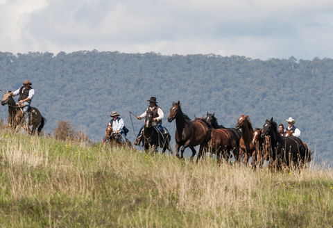 The Man From Snowy River Bush Festival - Mackay Tourism 1