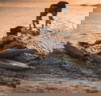 The Bay Games - Jervis Bay - Mackay Tourism
