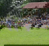 Tumut Boxing Day Races - Mackay Tourism