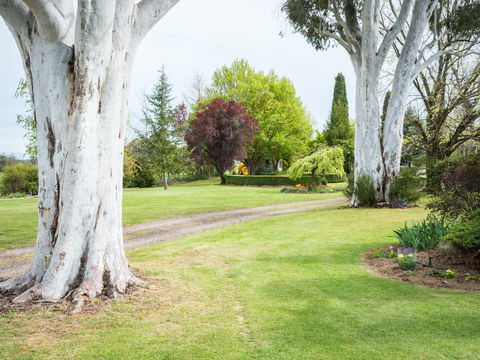 Tumbarumba Spring Flower Festival - Mackay Tourism 2