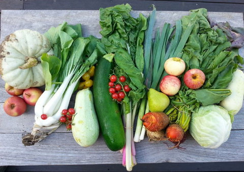 Wingham Farmers Market - Mackay Tourism 0