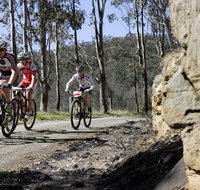 Wollombi Wild Ride Mountain Bike Ride - Mackay Tourism
