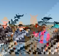 Annual Prairie Races - Mackay Tourism