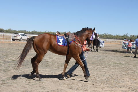 Annual Prairie Races - Mackay Tourism 2