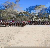 Australian Campdraft Association National Finals Campdraft 2021 - Mackay Tourism
