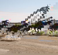 Bedourie Races and Rodeo - Mackay Tourism