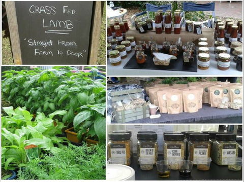 Berry Produce Market - Mackay Tourism 1