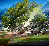 Big Bat Wildlife and Eco Festival - Mackay Tourism